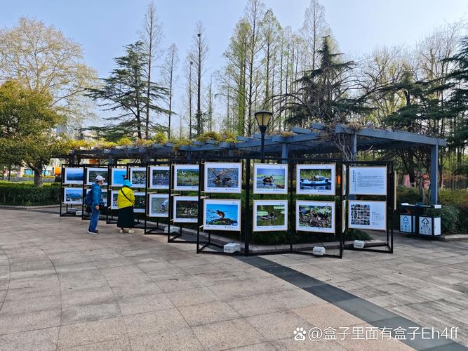 武汉专业展览展示服务 摄影书画与标准展位一站式解决方案